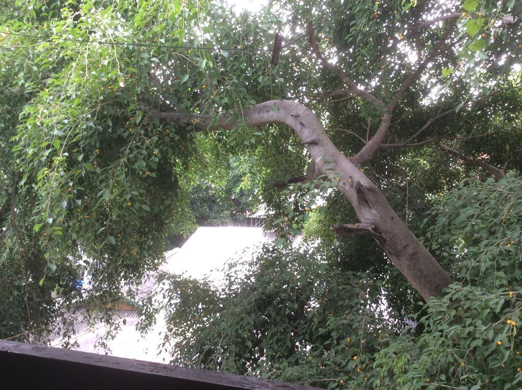 Mountain View Guesthousechiangmai Chiang Mai Exterior foto
